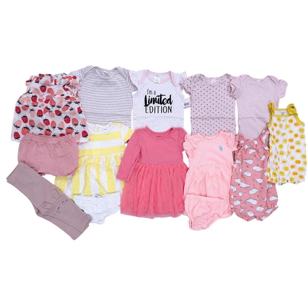 Lot of Girls One-Piece Outfits 9M - Carter's, Nordstrom (1476)